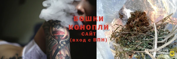 шишки Баксан