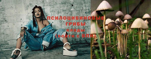 круглые Белокуриха