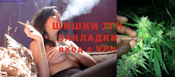 PSILOCYBIN Балабаново