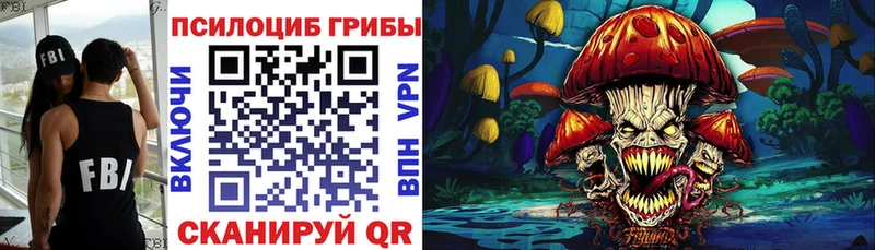 это телеграм  Каменка  Галлюциногенные грибы Psilocybe 